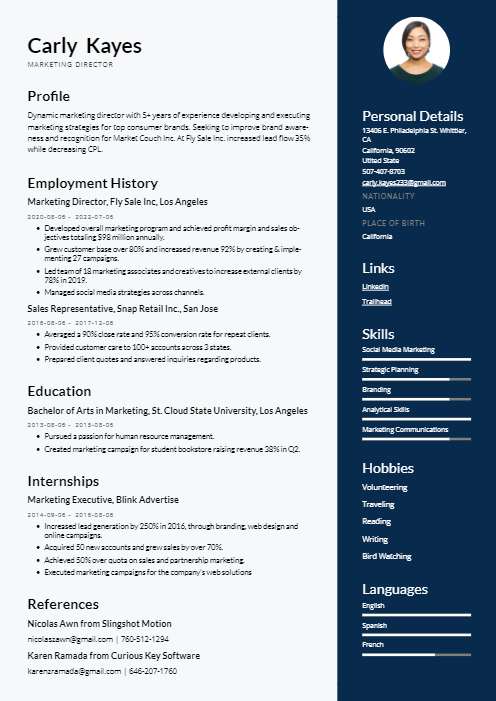 Instaresume Resume Template: Two column cv template